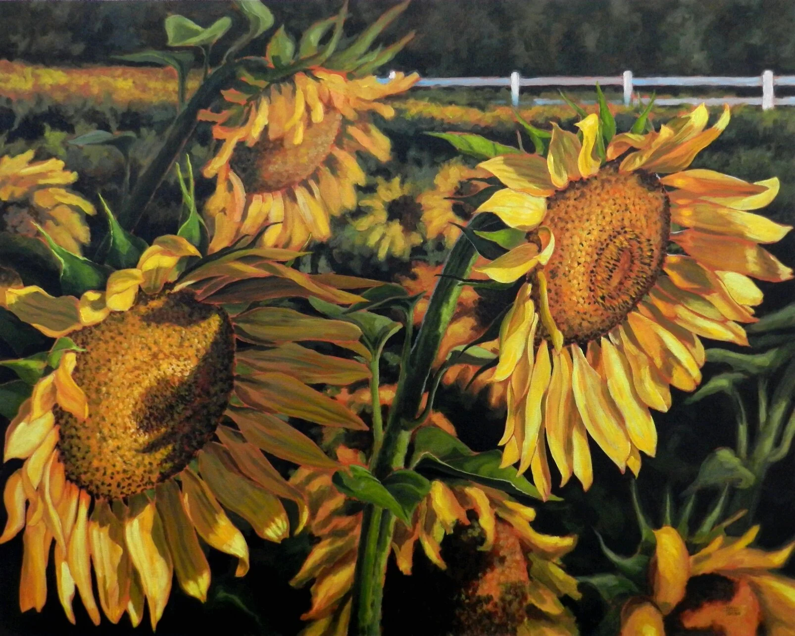 I Am Painting Huge Sunflowers #4 — MATT TOMKO ART